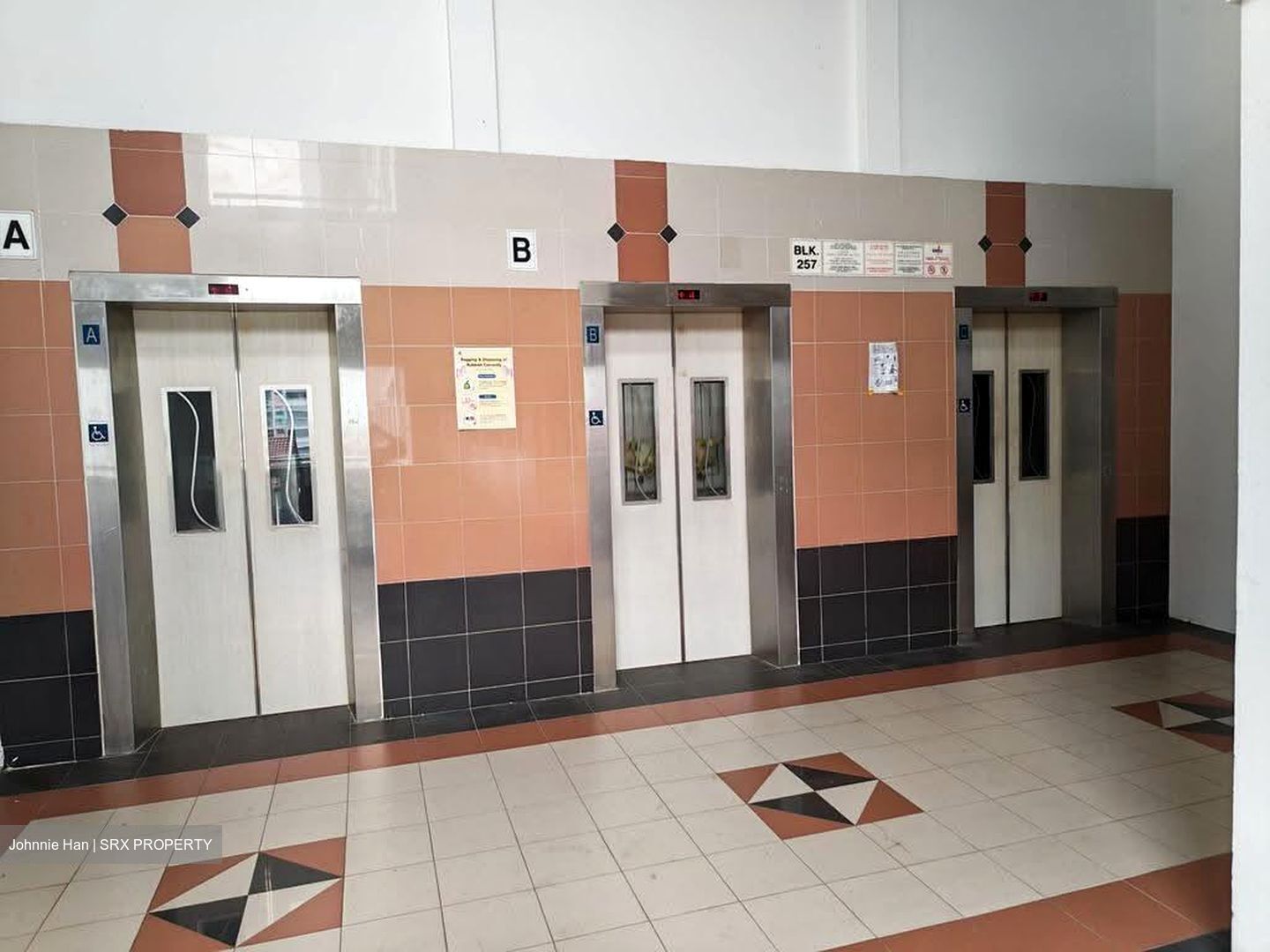 Blk 257 Bukit Panjang Neighbourhood Centre (Bukit Panjang), HDB 4 Rooms #631613141